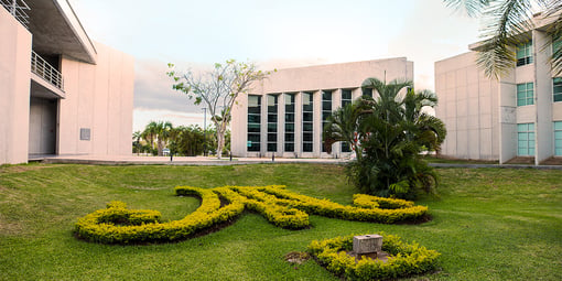 Universidad Marista