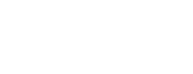 Universidad Marista